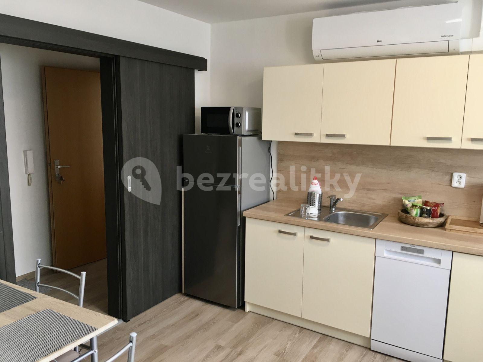 Studio flat to rent, 37 m², Palackého náměstí, Třeboň, Jihočeský Region