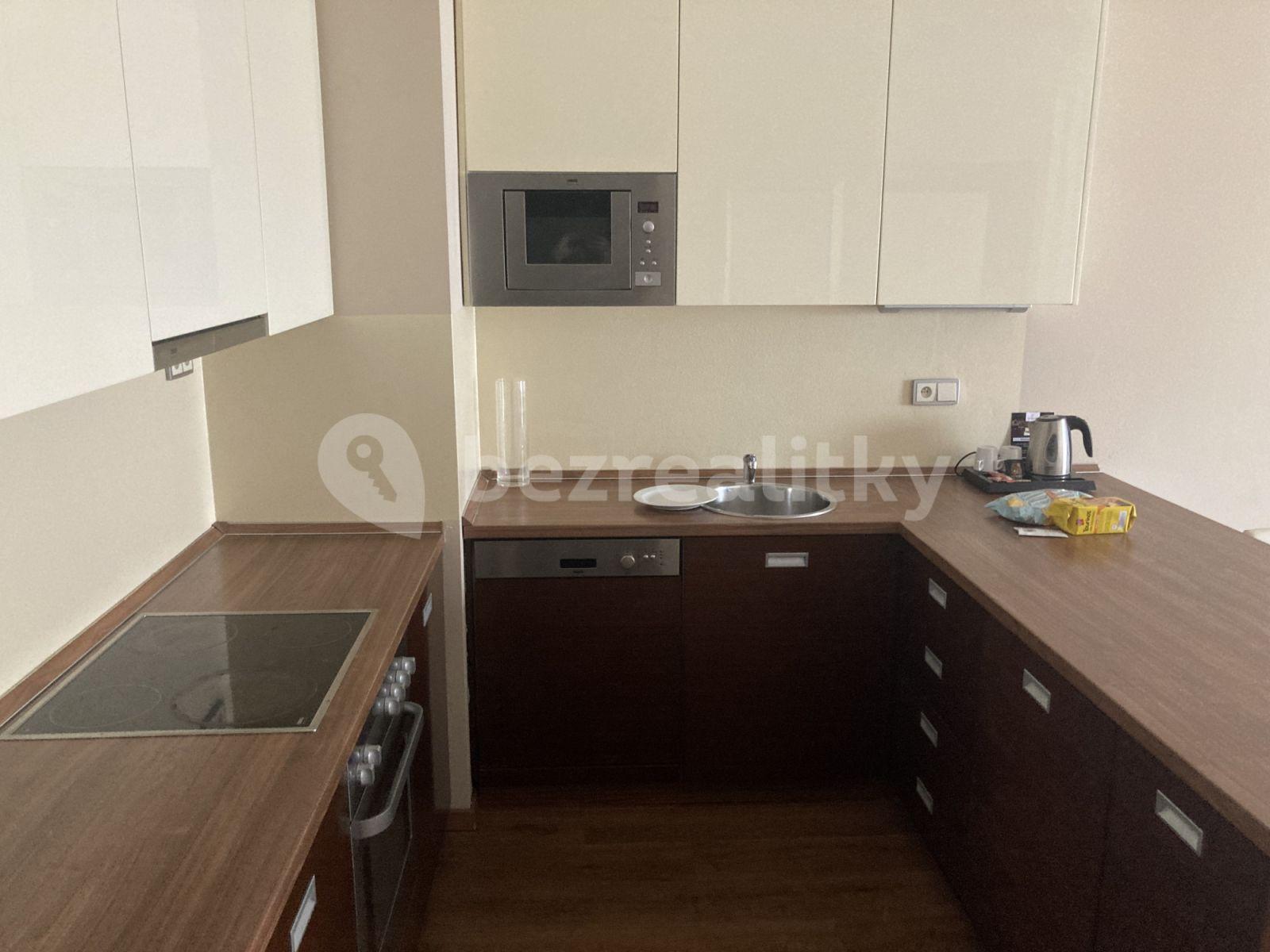 2 bedroom with open-plan kitchen flat to rent, 78 m², U Borského parku, Plzeň, Plzeňský Region