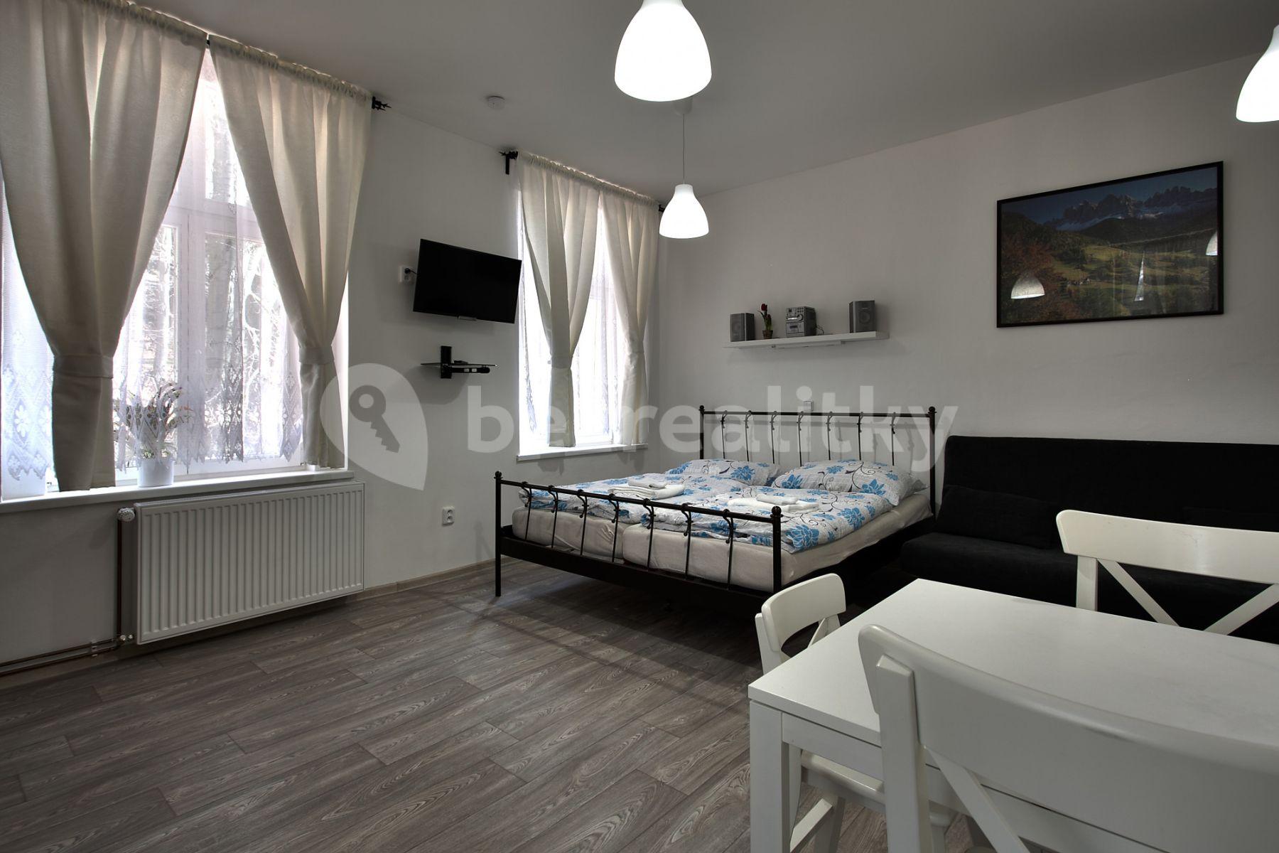 Studio flat to rent, 20 m², Lesní, Mariánské Lázně, Karlovarský Region