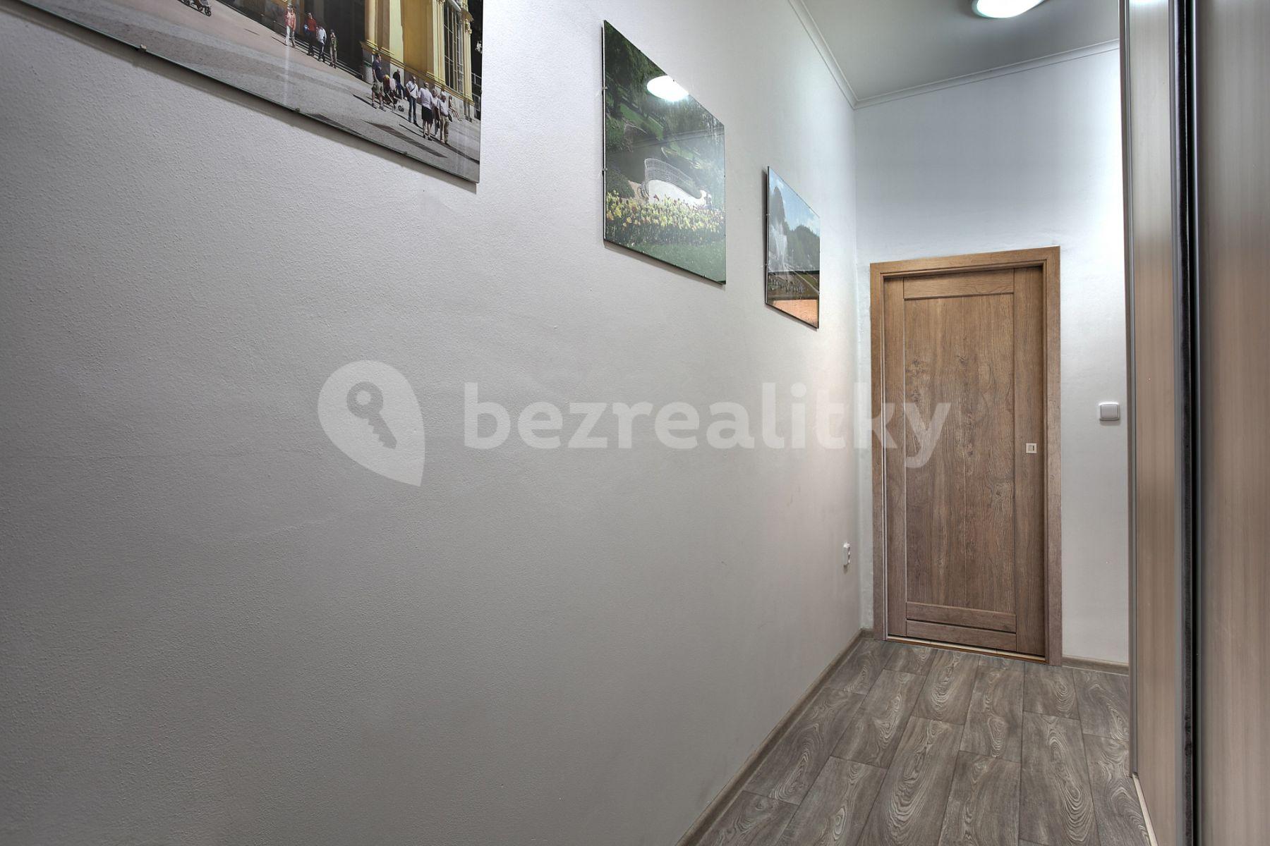 Studio flat to rent, 20 m², Lesní, Mariánské Lázně, Karlovarský Region