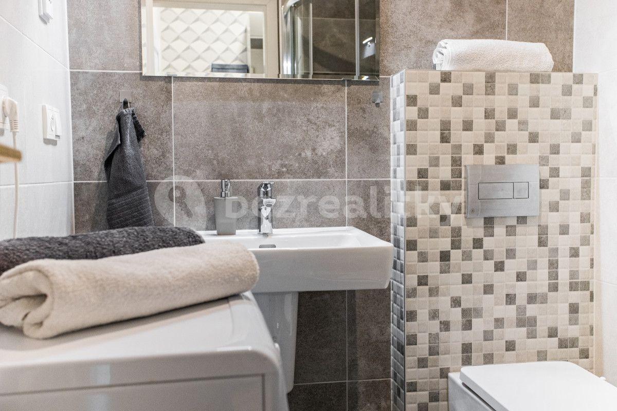 Studio flat to rent, 40 m², Zborovská, Prague, Prague