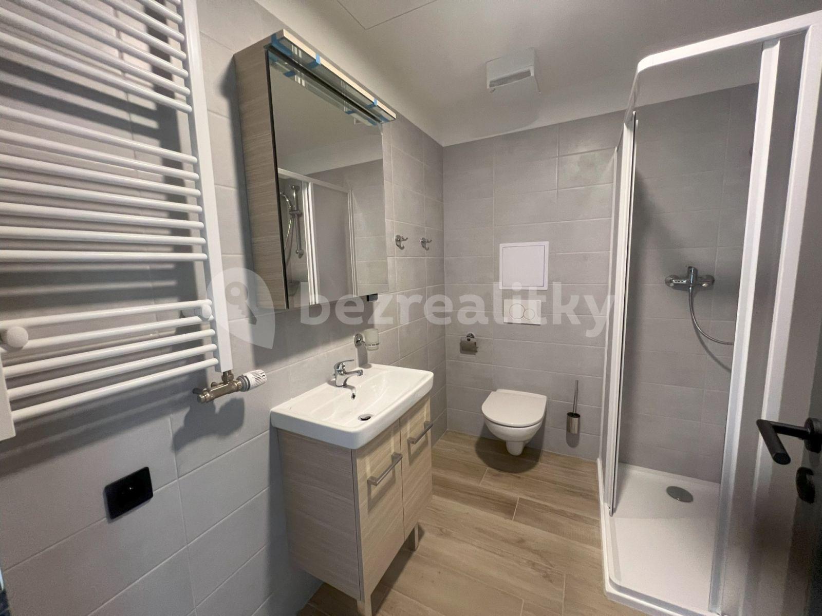 1 bedroom with open-plan kitchen flat to rent, 50 m², Převoznická, Prague, Prague