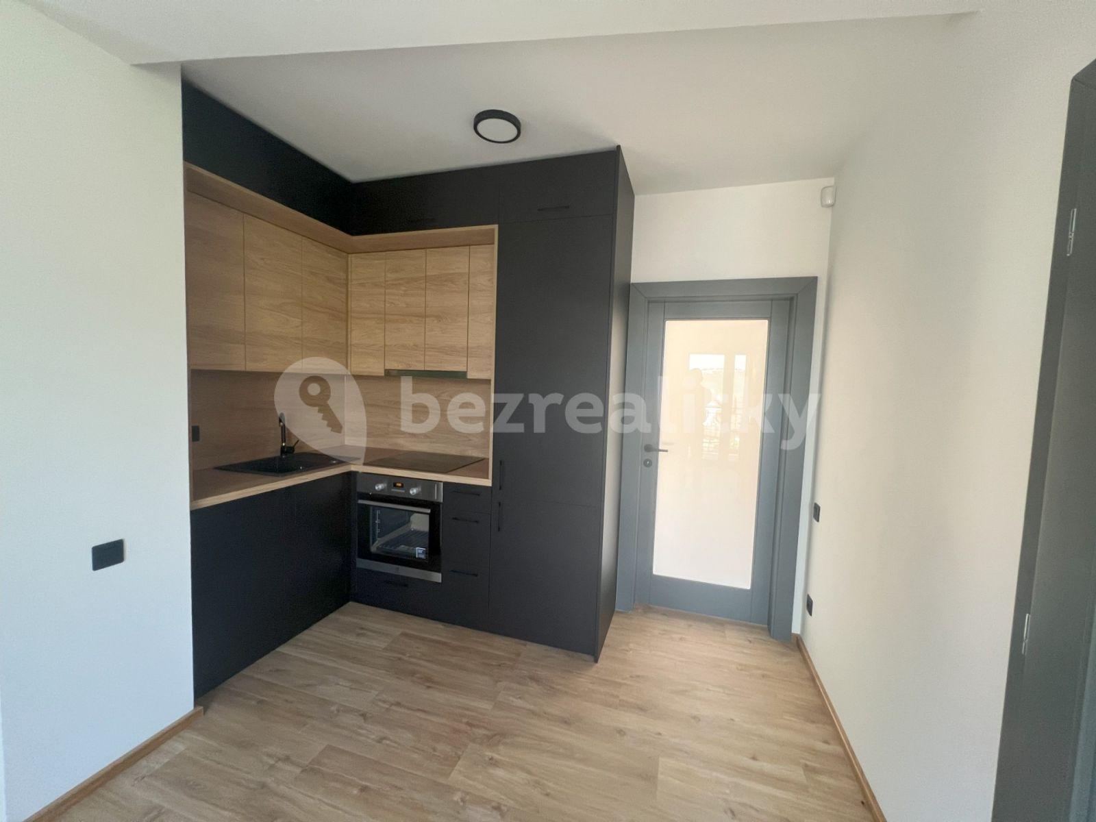 1 bedroom with open-plan kitchen flat to rent, 50 m², Převoznická, Prague, Prague