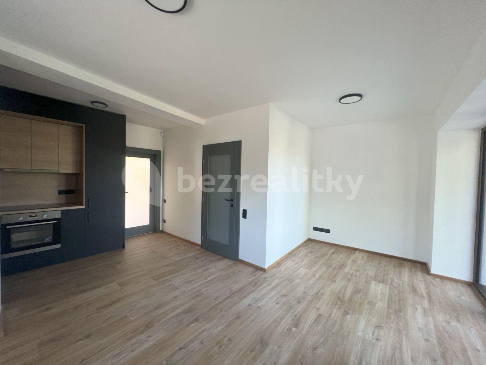 1 bedroom with open-plan kitchen flat to rent, 50 m², Převoznická, Prague, Prague