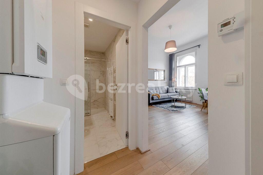 1 bedroom with open-plan kitchen flat to rent, 45 m², Kaizlovy sady, Prague, Prague