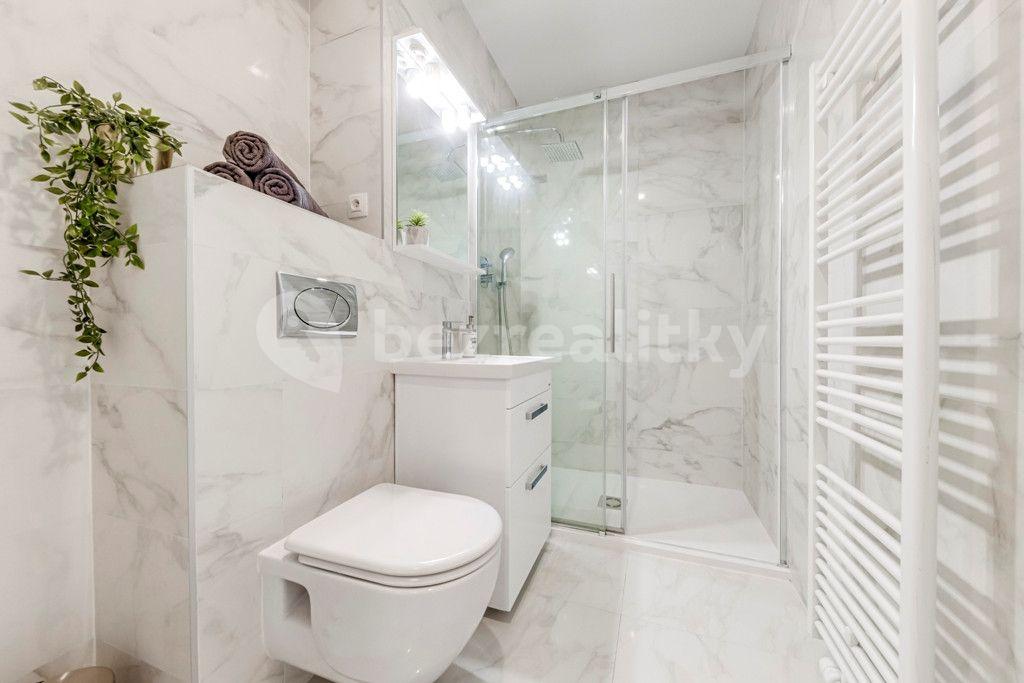 1 bedroom with open-plan kitchen flat to rent, 45 m², Kaizlovy sady, Prague, Prague