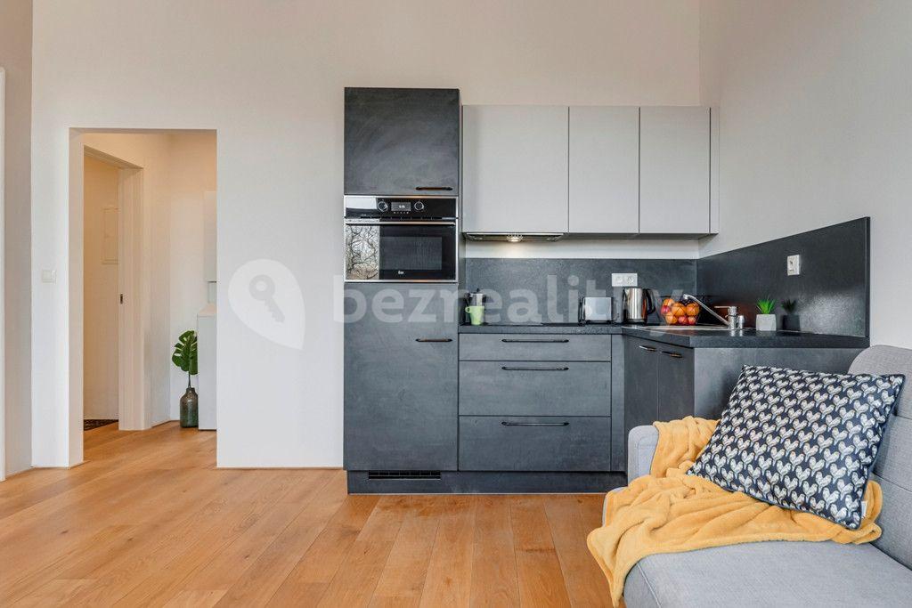 1 bedroom with open-plan kitchen flat to rent, 45 m², Kaizlovy sady, Prague, Prague