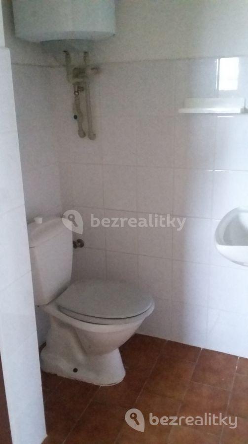 1 bedroom with open-plan kitchen flat to rent, 36 m², Záluží, Středočeský Region