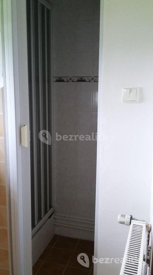 1 bedroom with open-plan kitchen flat to rent, 36 m², Záluží, Středočeský Region