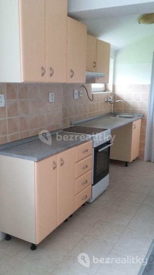 1 bedroom with open-plan kitchen flat to rent, 36 m², Záluží, Středočeský Region