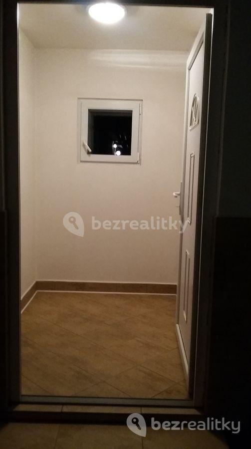 1 bedroom with open-plan kitchen flat to rent, 36 m², Záluží, Středočeský Region