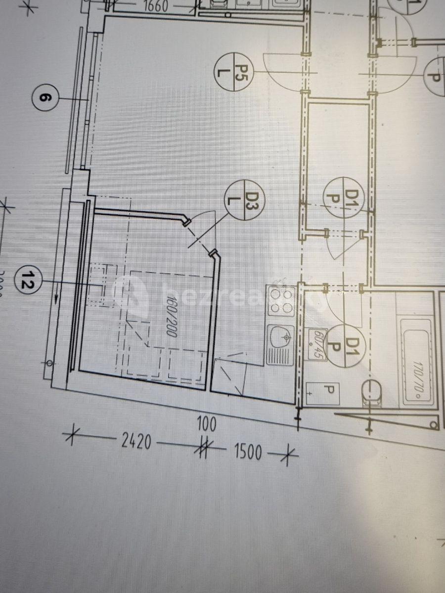 1 bedroom with open-plan kitchen flat to rent, 45 m², Pod Stárkou, Prague, Prague