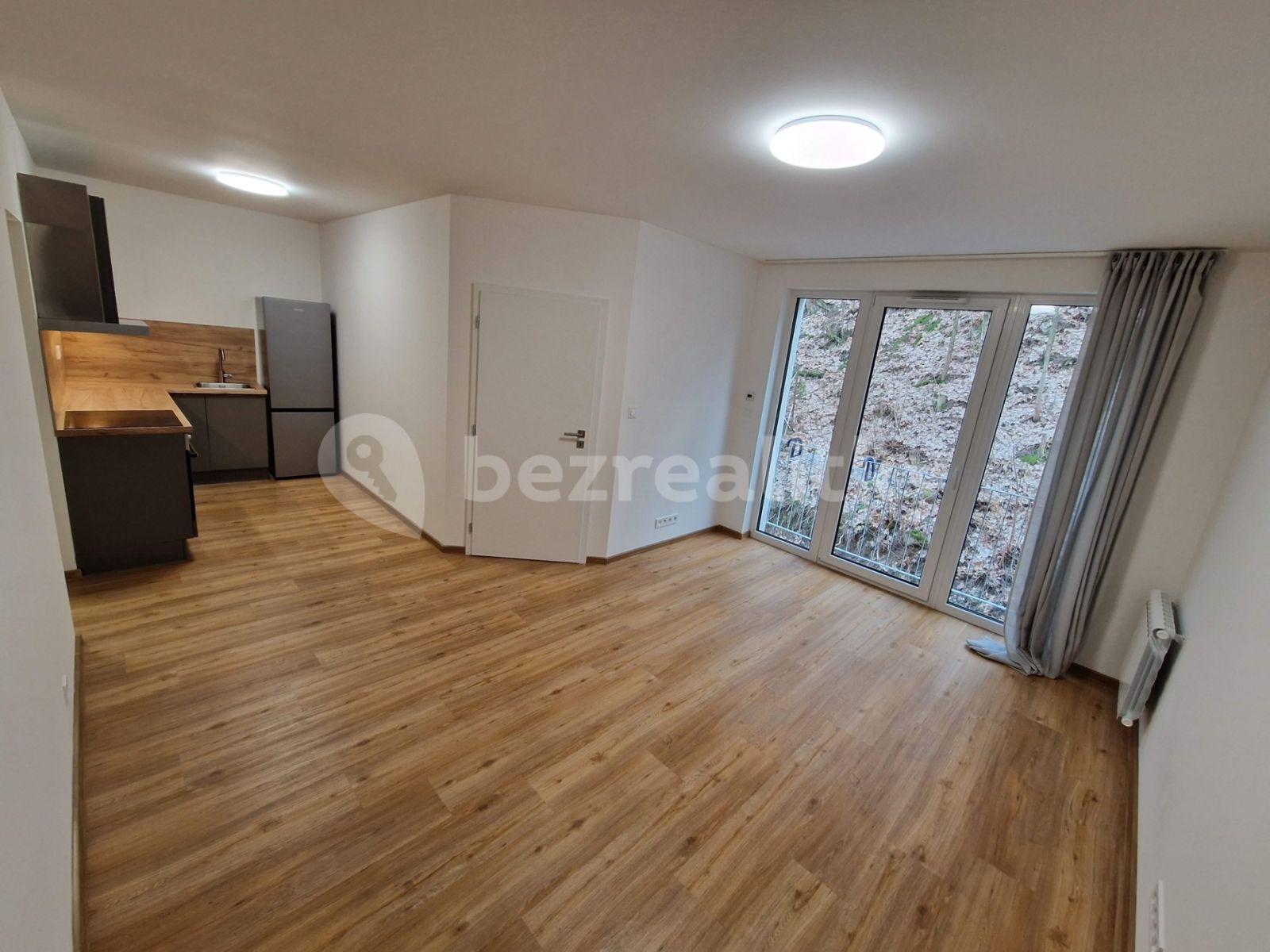 1 bedroom with open-plan kitchen flat to rent, 45 m², Pod Stárkou, Prague, Prague