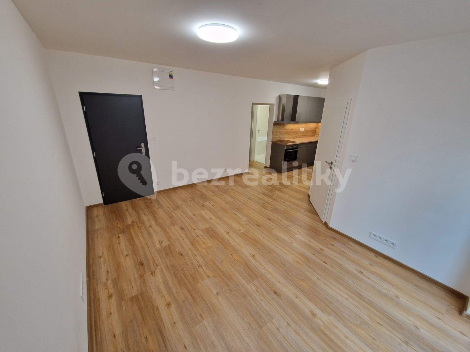 1 bedroom with open-plan kitchen flat to rent, 45 m², Pod Stárkou, Prague, Prague