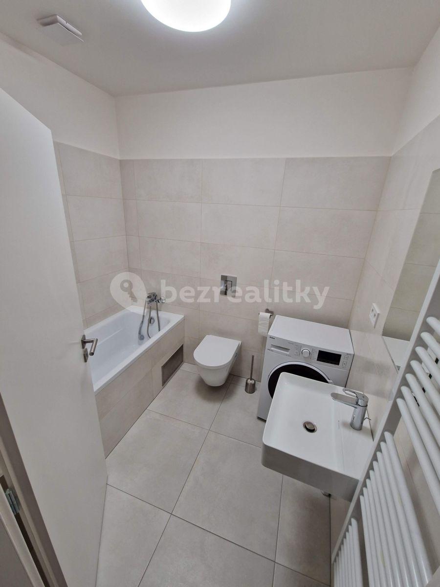 1 bedroom with open-plan kitchen flat to rent, 45 m², Pod Stárkou, Prague, Prague