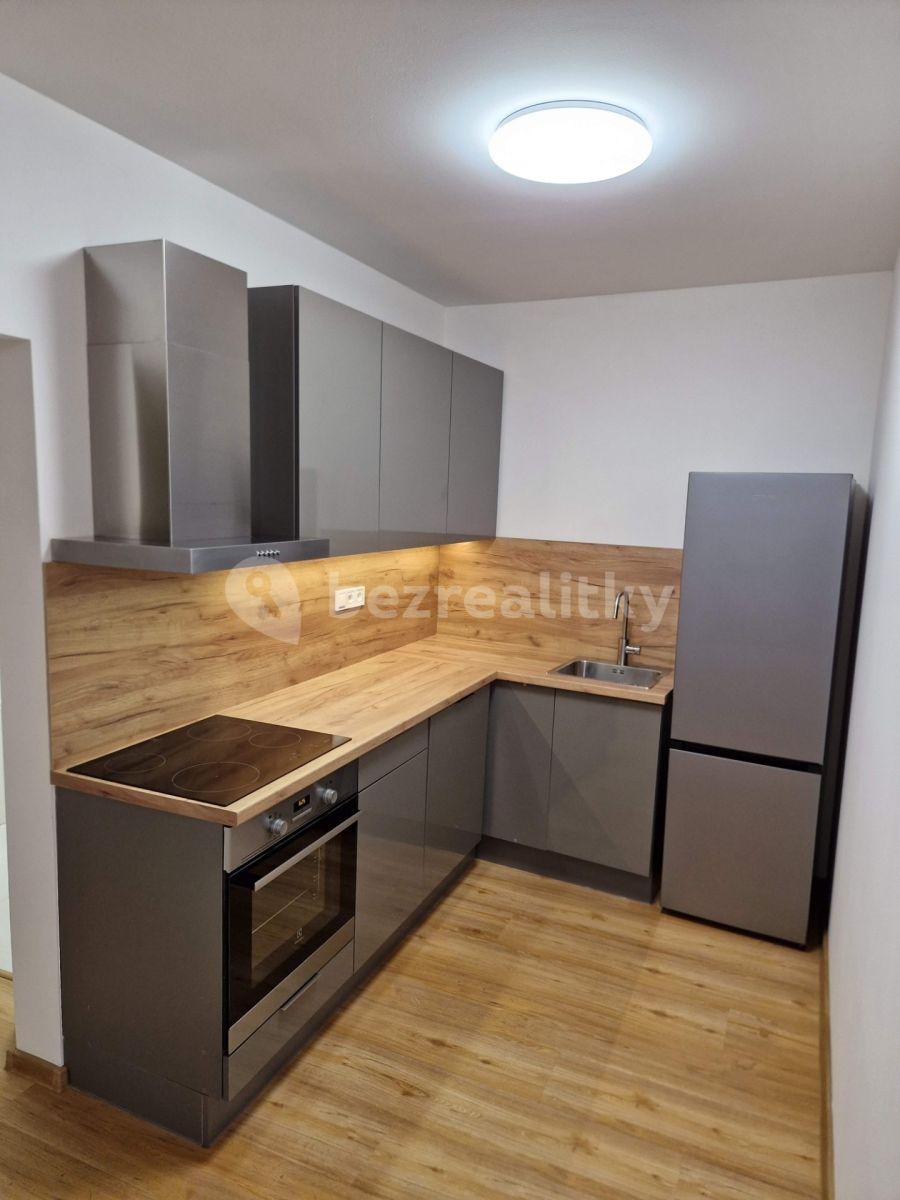 1 bedroom with open-plan kitchen flat to rent, 45 m², Pod Stárkou, Prague, Prague