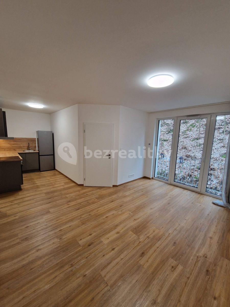 1 bedroom with open-plan kitchen flat to rent, 45 m², Pod Stárkou, Prague, Prague