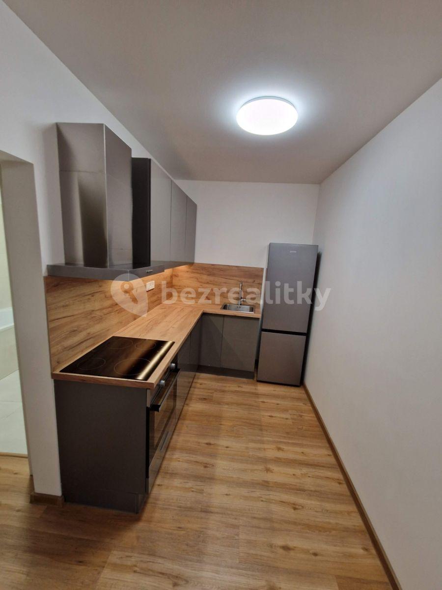 1 bedroom with open-plan kitchen flat to rent, 45 m², Pod Stárkou, Prague, Prague