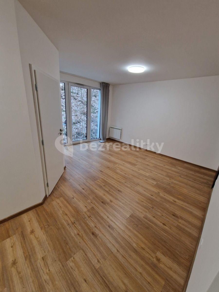 1 bedroom with open-plan kitchen flat to rent, 45 m², Pod Stárkou, Prague, Prague