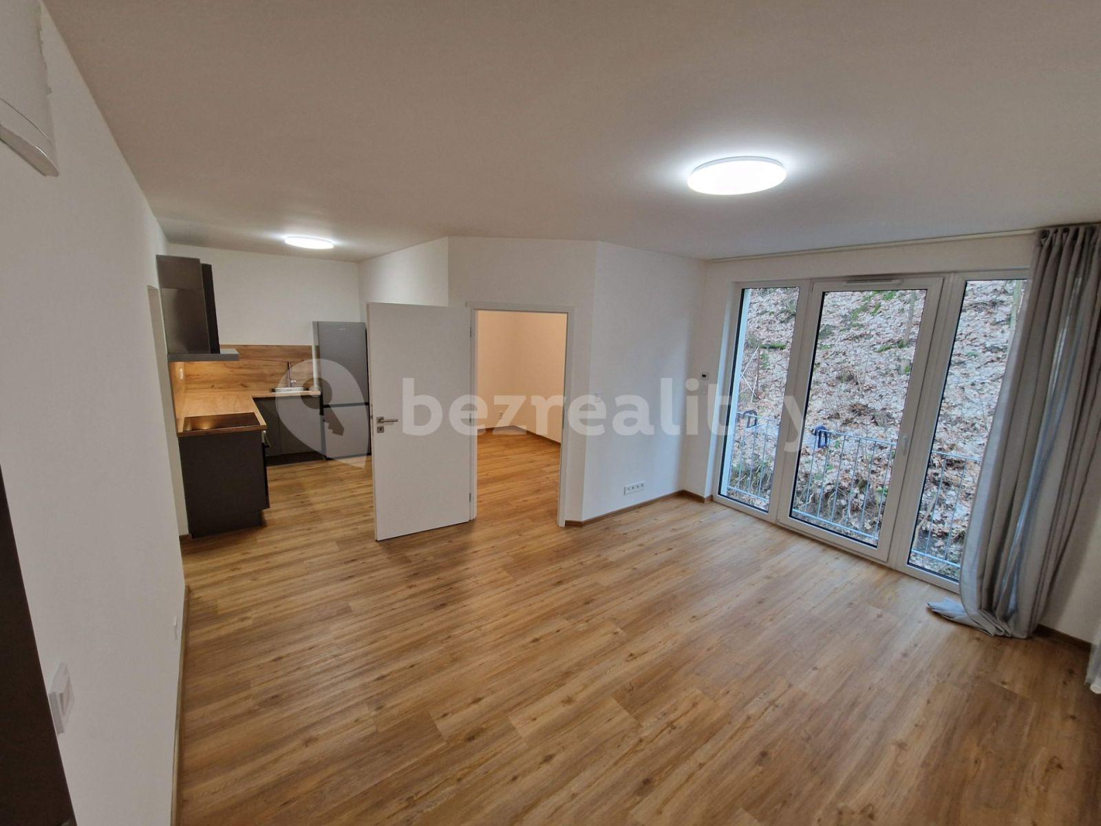 1 bedroom with open-plan kitchen flat to rent, 45 m², Pod Stárkou, Prague, Prague