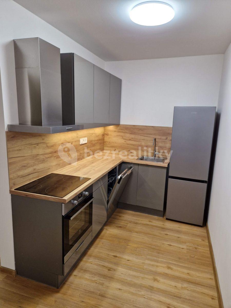 1 bedroom with open-plan kitchen flat to rent, 45 m², Pod Stárkou, Prague, Prague