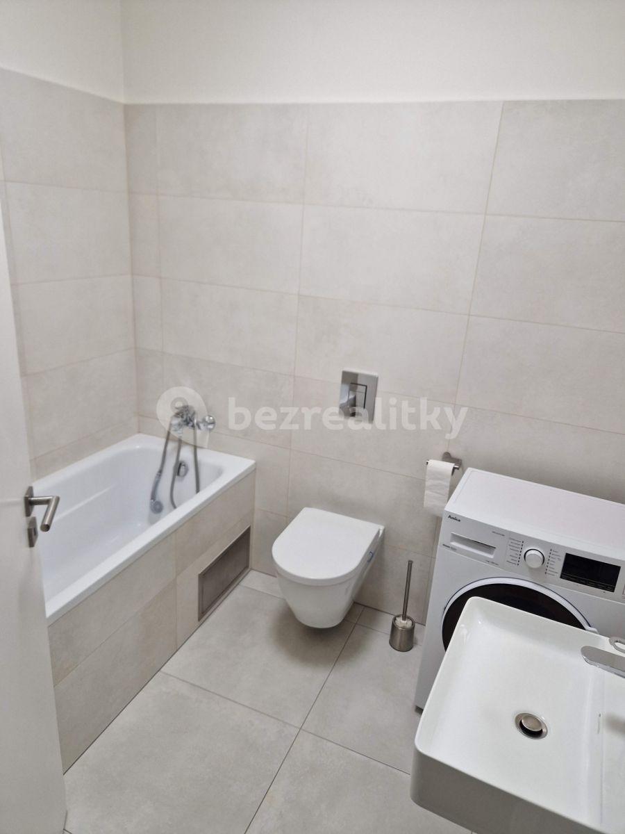 1 bedroom with open-plan kitchen flat to rent, 45 m², Pod Stárkou, Prague, Prague