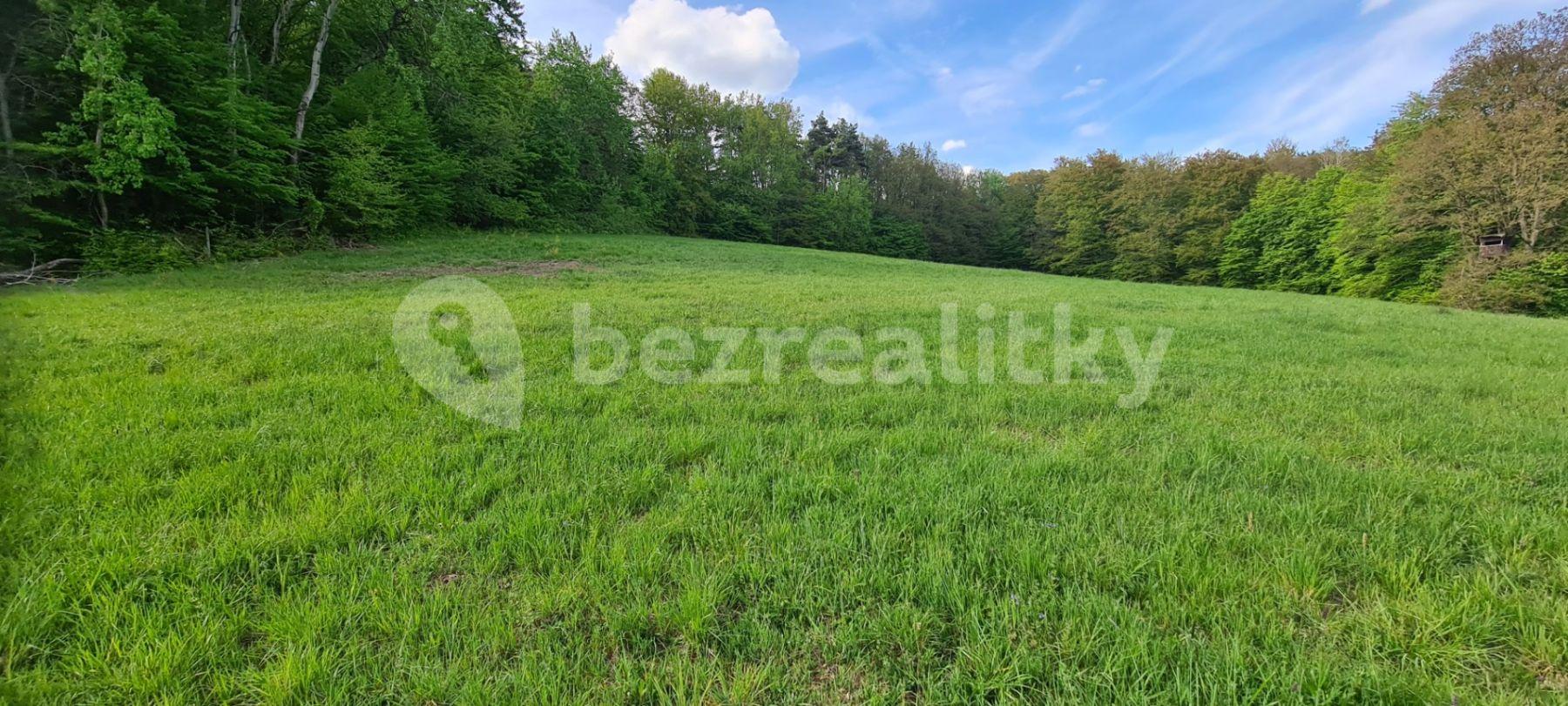 plot for sale, 12,000 m², Stříbrná Skalice, Středočeský Region