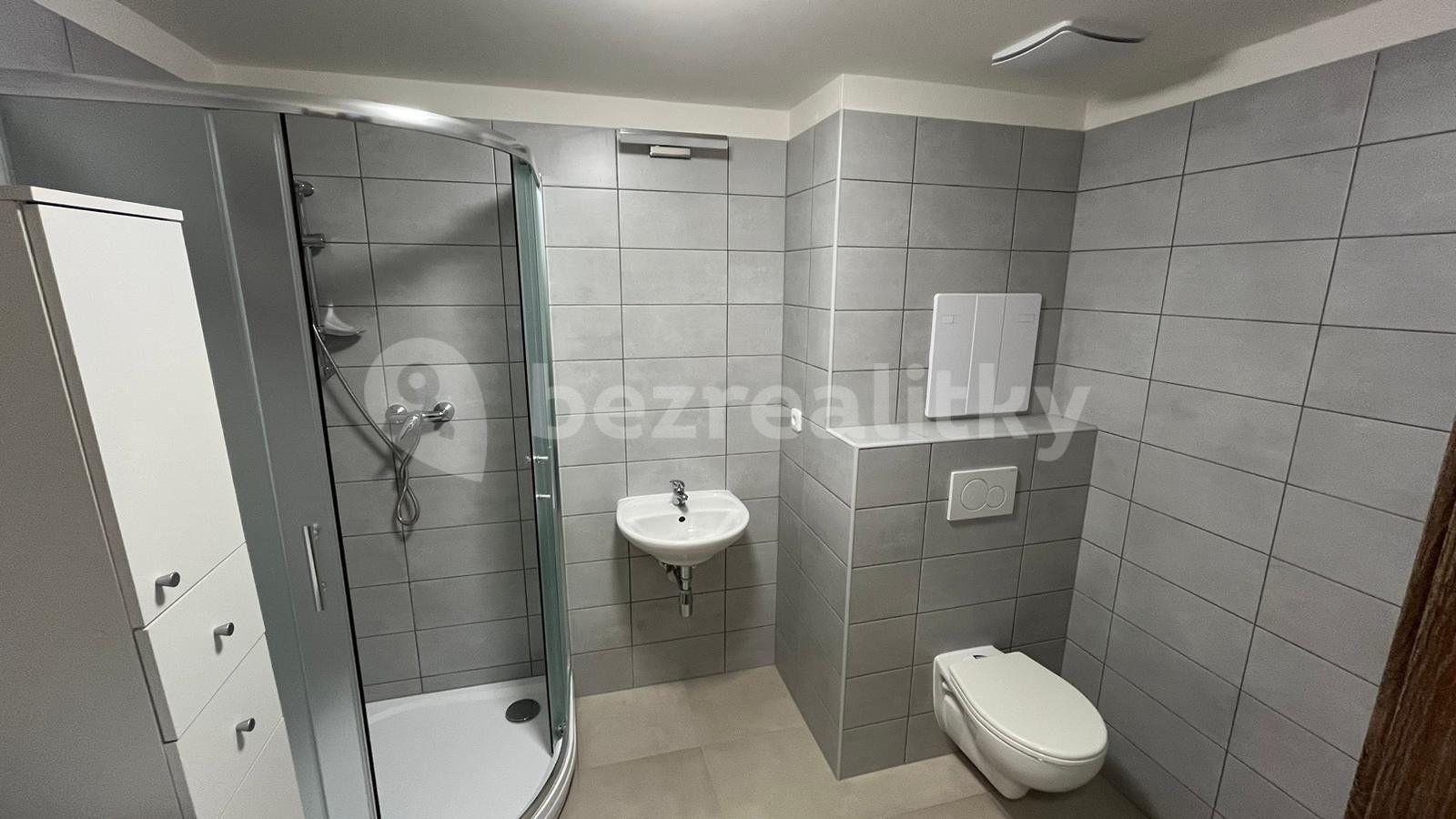 1 bedroom with open-plan kitchen flat to rent, 55 m², U Kasáren, Dašice, Pardubický Region