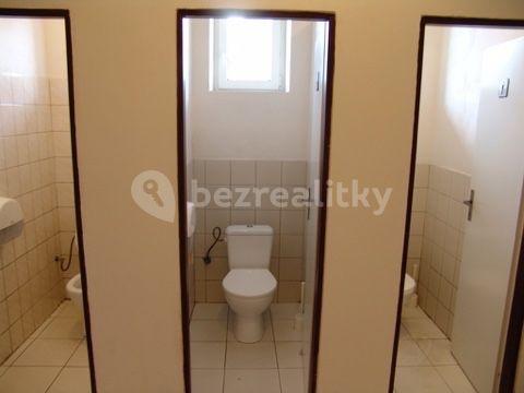 Small studio flat to rent, 25 m², Jana Želivského, Prague, Prague