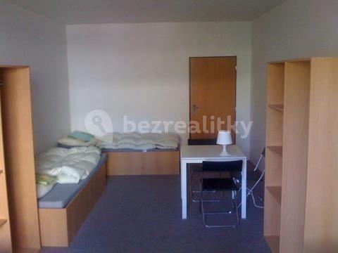 Small studio flat to rent, 25 m², Jana Želivského, Prague, Prague