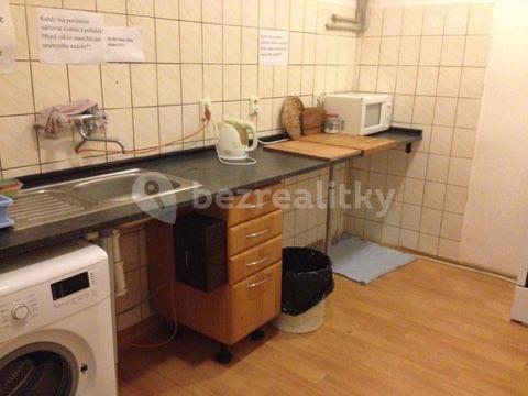 Small studio flat to rent, 25 m², Jana Želivského, Prague, Prague