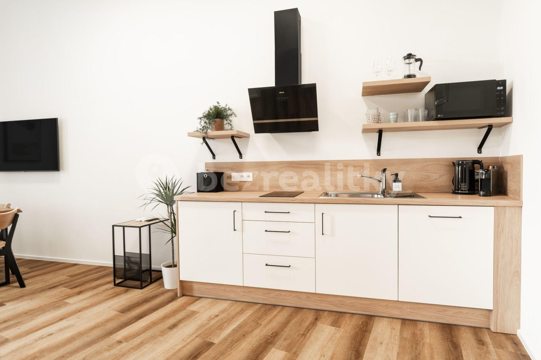 Studio flat to rent, 35 m², Vlhká, Brno, Jihomoravský Region