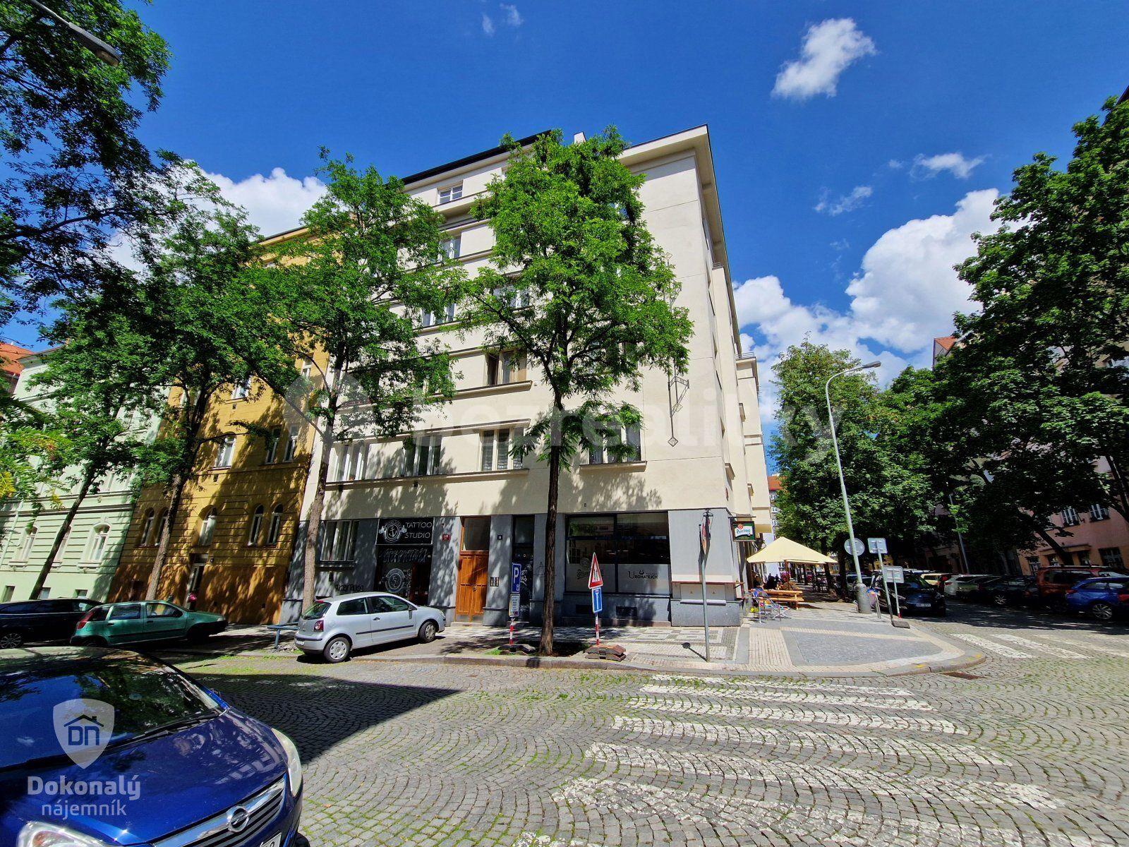 1 bedroom with open-plan kitchen flat to rent, 55 m², Hájkova, Prague, Prague