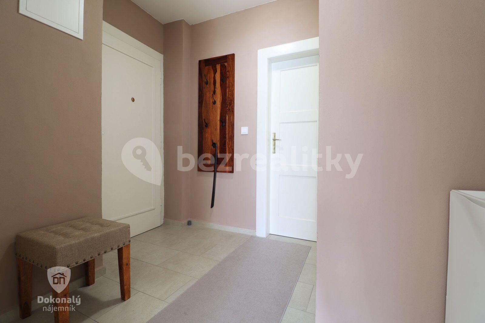 1 bedroom with open-plan kitchen flat to rent, 55 m², Hájkova, Prague, Prague