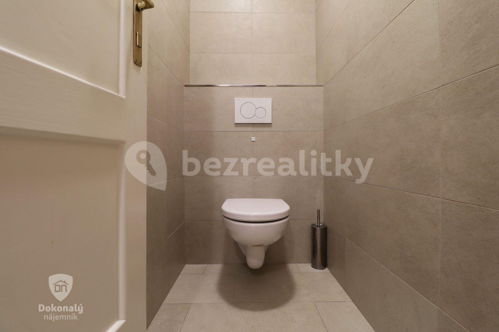 1 bedroom with open-plan kitchen flat to rent, 55 m², Hájkova, Prague, Prague