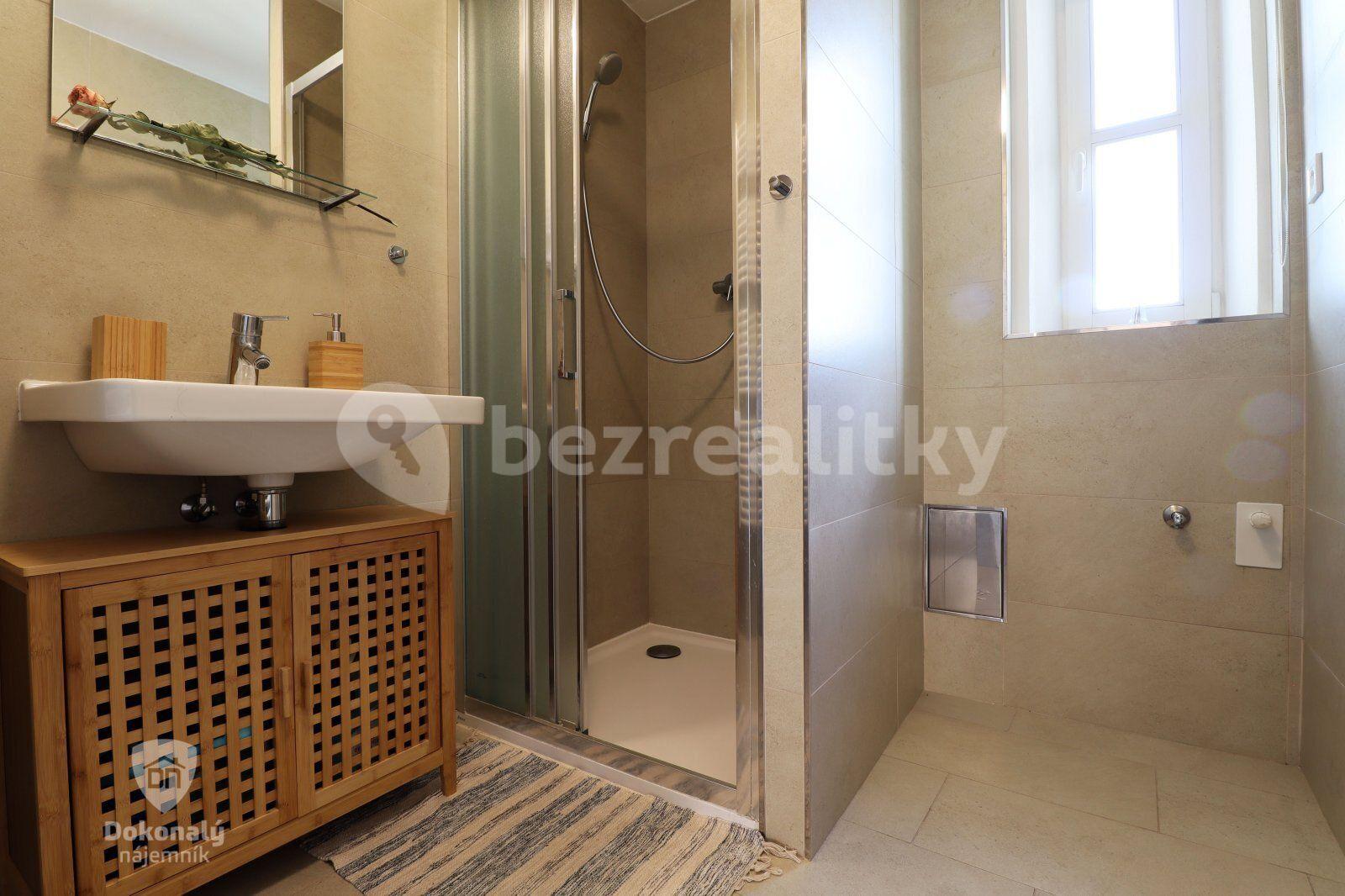 1 bedroom with open-plan kitchen flat to rent, 55 m², Hájkova, Prague, Prague