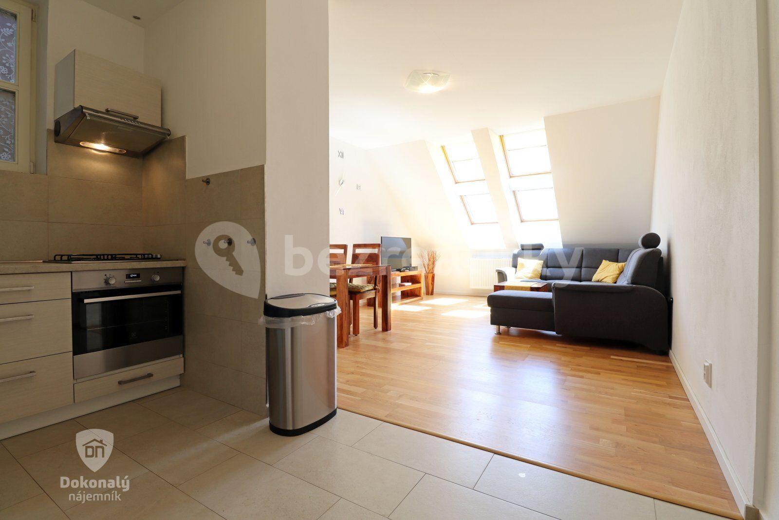 1 bedroom with open-plan kitchen flat to rent, 55 m², Hájkova, Prague, Prague