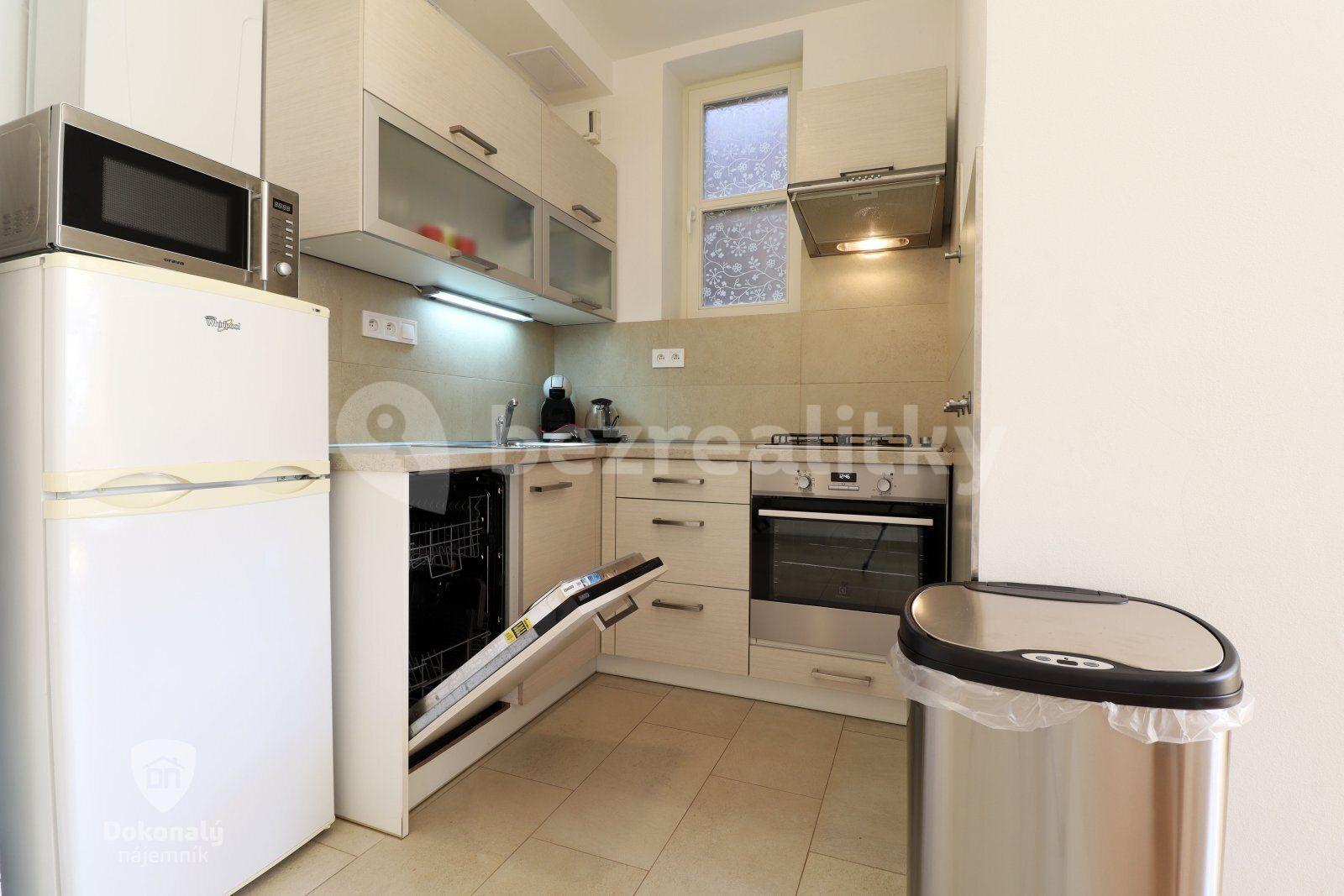 1 bedroom with open-plan kitchen flat to rent, 55 m², Hájkova, Prague, Prague