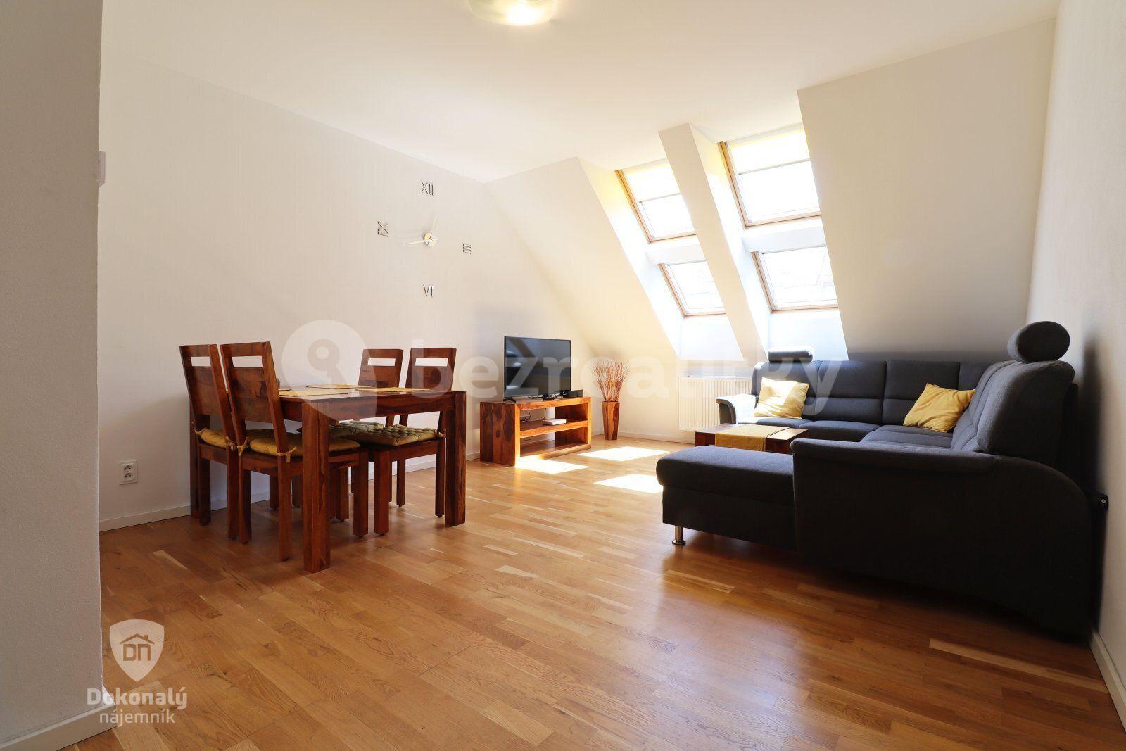 1 bedroom with open-plan kitchen flat to rent, 55 m², Hájkova, Prague, Prague