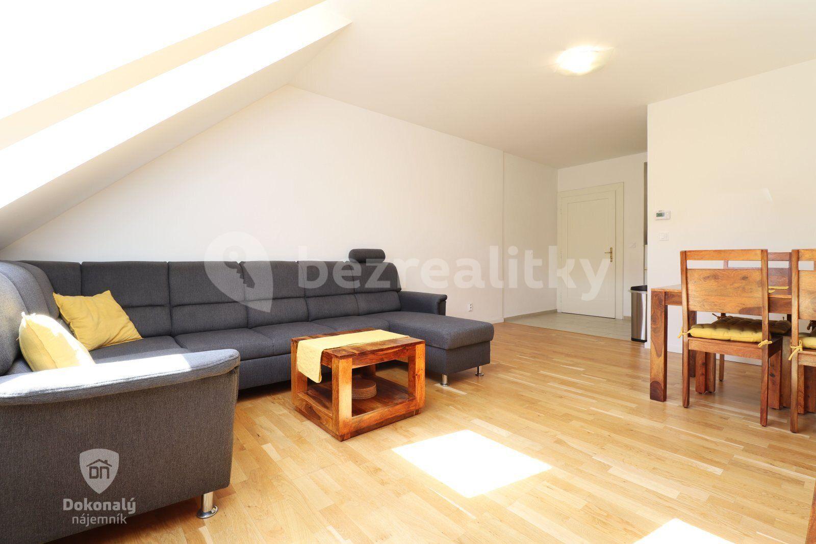 1 bedroom with open-plan kitchen flat to rent, 55 m², Hájkova, Prague, Prague