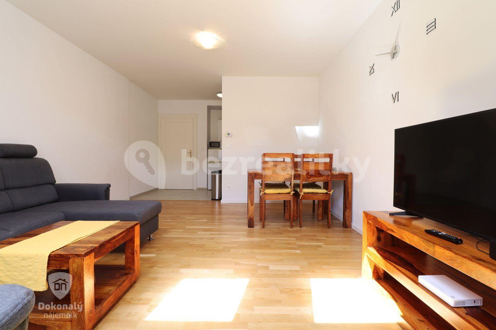 1 bedroom with open-plan kitchen flat to rent, 55 m², Hájkova, Prague, Prague