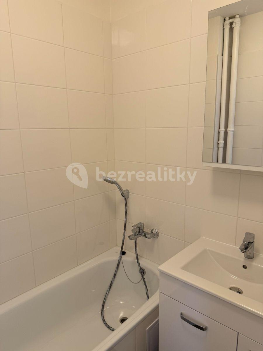 1 bedroom with open-plan kitchen flat to rent, 40 m², Družstevní ochoz, Prague, Prague