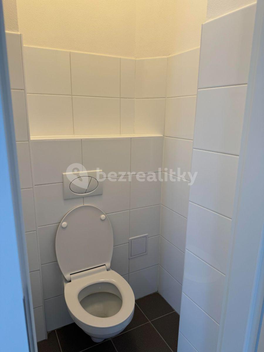 1 bedroom with open-plan kitchen flat to rent, 40 m², Družstevní ochoz, Prague, Prague