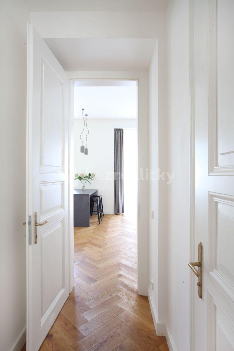 1 bedroom with open-plan kitchen flat to rent, 64 m², Dlážděná, Prague, Prague