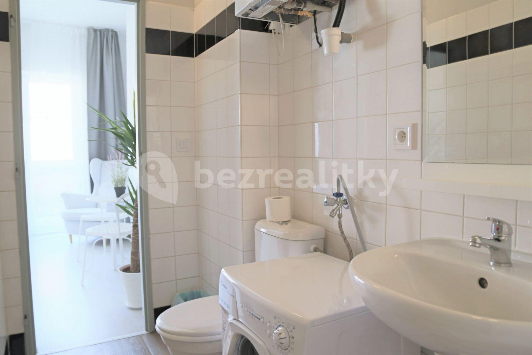 1 bedroom with open-plan kitchen flat to rent, 75 m², Na Zbořenci, Prague, Prague