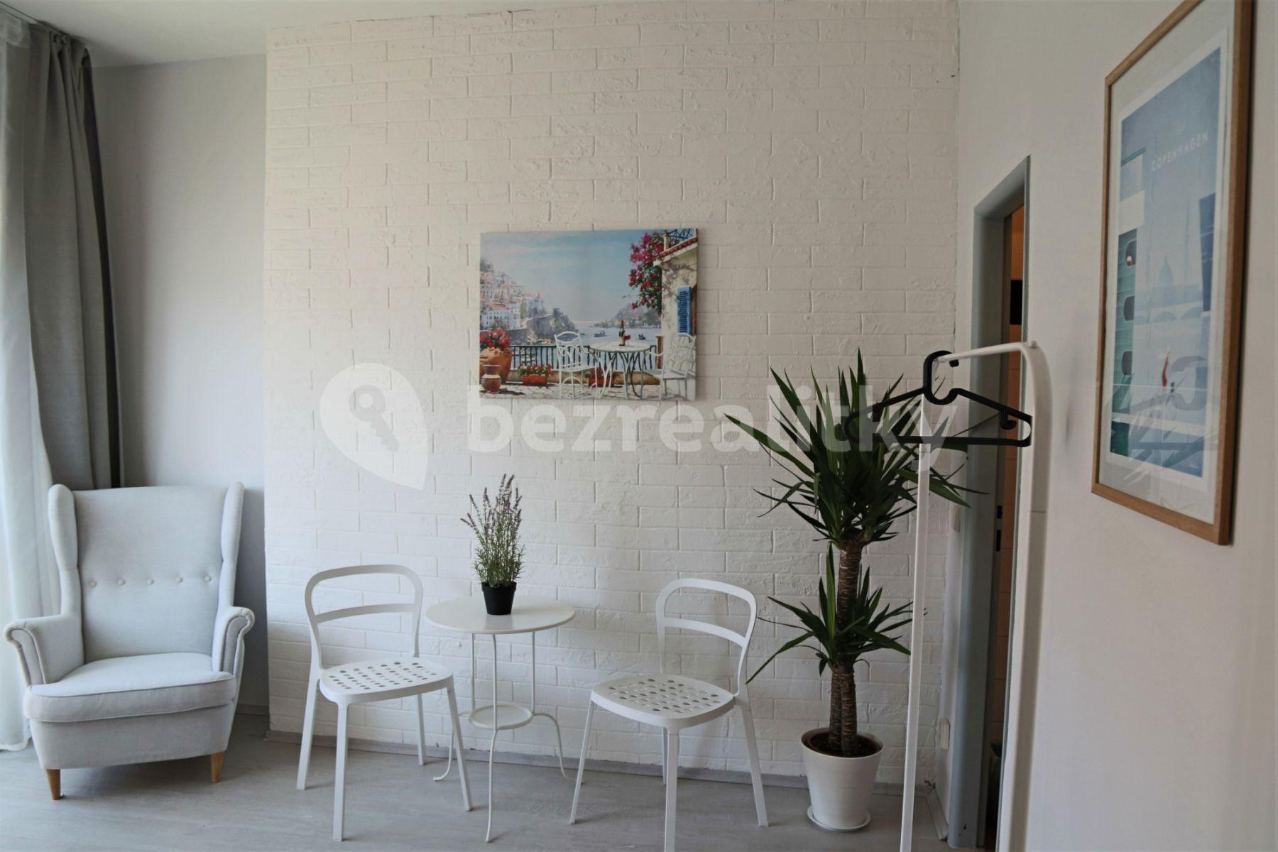 1 bedroom with open-plan kitchen flat to rent, 75 m², Na Zbořenci, Prague, Prague