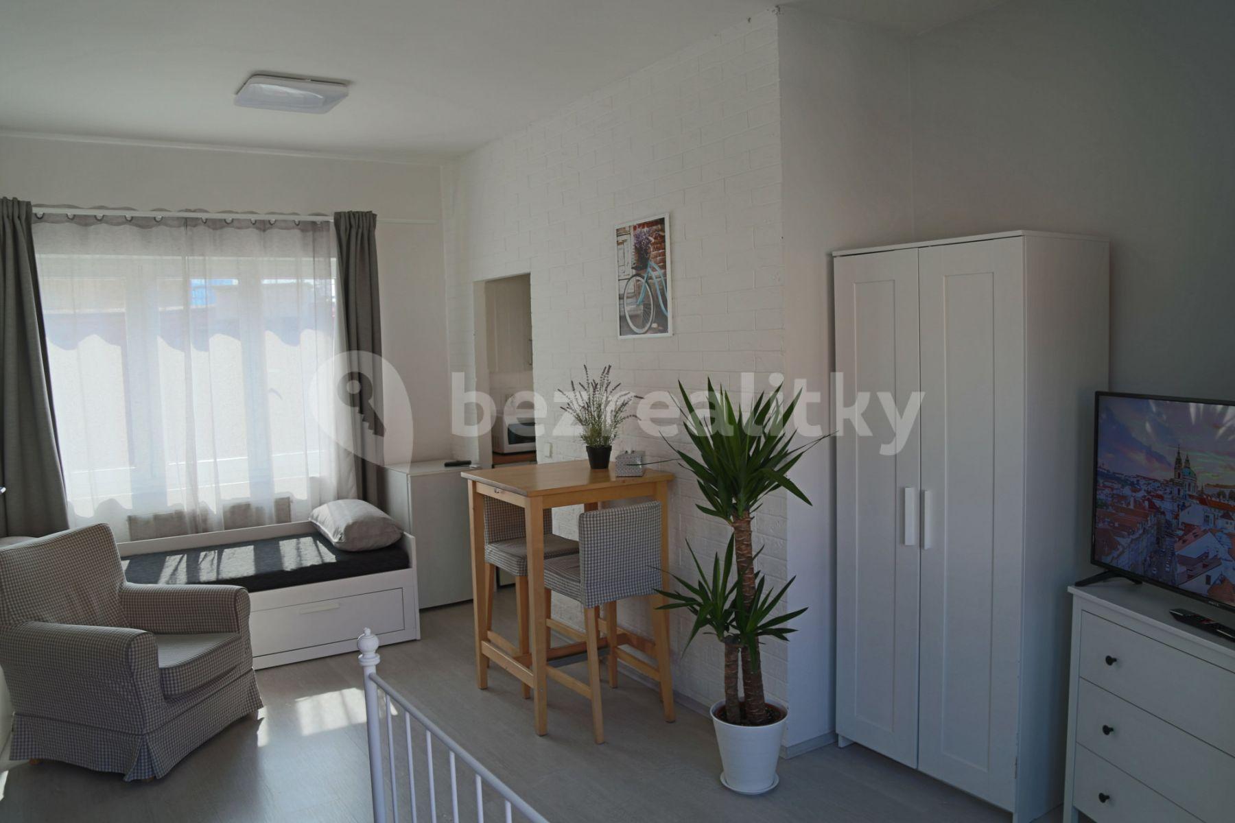 1 bedroom with open-plan kitchen flat to rent, 75 m², Na Zbořenci, Prague, Prague