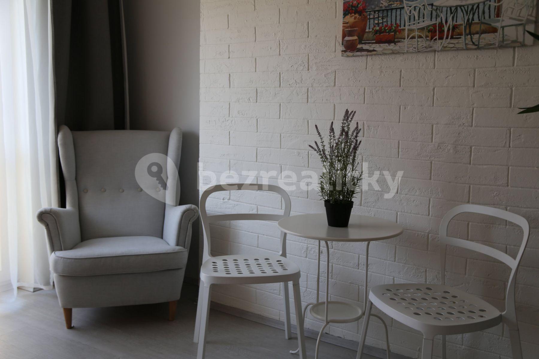 1 bedroom with open-plan kitchen flat to rent, 75 m², Na Zbořenci, Prague, Prague