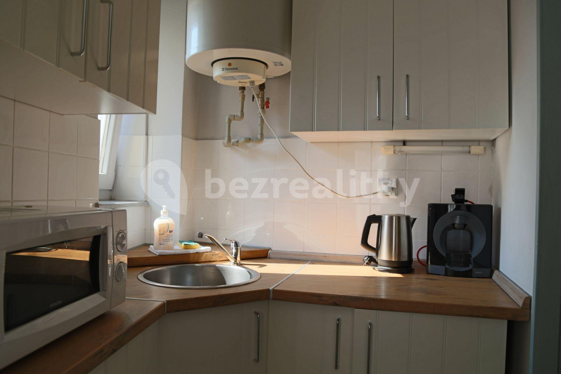 1 bedroom with open-plan kitchen flat to rent, 75 m², Na Zbořenci, Prague, Prague