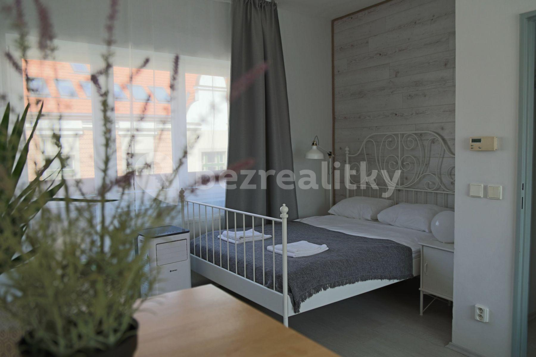 1 bedroom with open-plan kitchen flat to rent, 75 m², Na Zbořenci, Prague, Prague